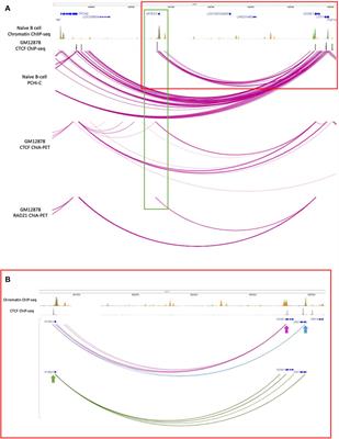 Evolutionarily conserved enhancer-associated features within the MYEOV locus suggest a regulatory role for this non-coding DNA region in cancer